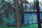 Дом на участке Коробкова, участок 447