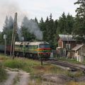 Gvardeyskoe_2011-1
