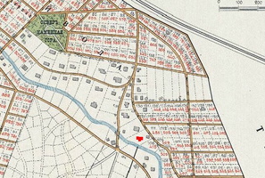 map_Tyriseva_Gladkiy_1913
