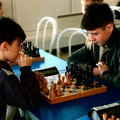 Шахматный турнир (2)