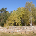 берег Уотинена. каменная стенка дачи Кирхнера 2010г.