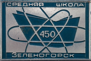 Zelenogorsk school450