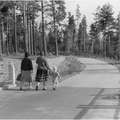 apk 2-09 пос.В.Долгое Мост через речку 1961
