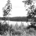 apk 2-15 пос.В.Долгое вид с противоп. стороны озера 1961